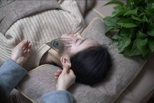 本地茶群